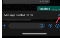 WhatsApp可让您撤消意外的为我删除操作