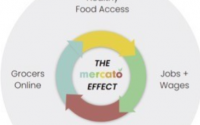 Mercato宣布启动繁荣社区计划