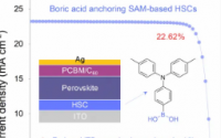 用于钙钛矿太阳能电池的硼酸锚定孔选择性接触