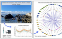 解读鱼类之间的相互作用以获取气候变化见解