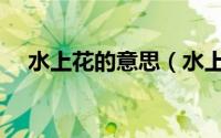 水上花的意思（水上花歌词是什么意思）