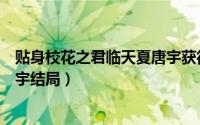 贴身校花之君临天夏唐宇获得神剑（贴身校花之君临天夏唐宇结局）