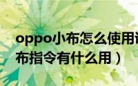 oppo小布怎么使用说明（oppo手机上的小布指令有什么用）