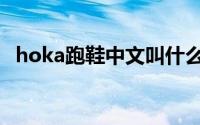 hoka跑鞋中文叫什么（hoka跑鞋怎么选）