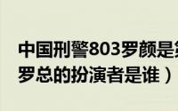 中国刑警803罗颜是第几集出来的（刑警803罗总的扮演者是谁）