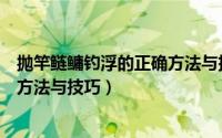 抛竿鲢鳙钓浮的正确方法与技巧图解（抛竿鲢鳙钓浮的正确方法与技巧）