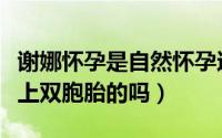 谢娜怀孕是自然怀孕还是试管（谢娜是自然怀上双胞胎的吗）