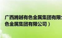 广西跨越有色金属集团有限公司总经理王安之（广西跨越有色金属集团有限公司）