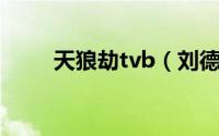 天狼劫tvb（刘德华天狼劫大结局）