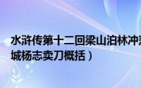 水浒传第十二回梁山泊林冲落草汴京城杨志卖刀概括（汴京城杨志卖刀概括）