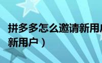 拼多多怎么邀请新用户注册（拼多多怎么邀请新用户）