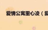 爱情公寓里心凌（爱情公寓心凌扮演者）