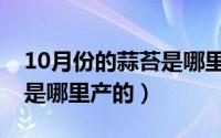 10月份的蒜苔是哪里产的呢（10月份的蒜苔是哪里产的）