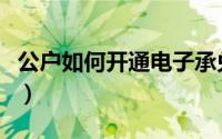 公户如何开通电子承兑（公户如何开通财付通）