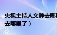 央视主持人文静去哪里了啊（央视主持人文静去哪里了）