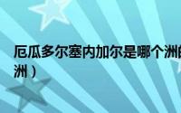 厄瓜多尔塞内加尔是哪个洲的（厄瓜多尔和塞内加尔是哪个洲）