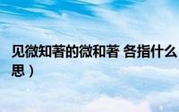 见微知著的微和著 各指什么（见微知著的微和著字是什么意思）