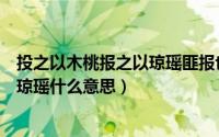 投之以木桃报之以琼瑶匪报也永以为好也（投之以木桃报之琼瑶什么意思）