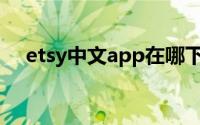 etsy中文app在哪下（etsy中文叫什么）