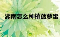 湖南怎么种植菠萝蜜（湖南怎么种植苹果）