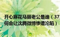 开心麻花马丽老公是谁（37岁开心麻花一姐马丽官宣怀孕为何会让沈腾微博惨遭沦陷）