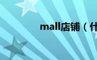 mall店铺（什么叫mall店）