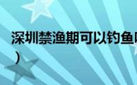 深圳禁渔期可以钓鱼吗（禁渔期可以去公海吗）