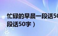 忙碌的早晨一段话50字左右（忙碌的早晨一段话50字）