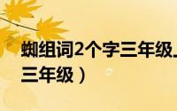 蜘组词2个字三年级上册语文（蜘组词2个字三年级）