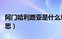 阿门哈利路亚是什么意思（哈利路亚是什么意思）