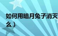 如何用暗月兔子消灭5个随从（暗月兔子掉什么）