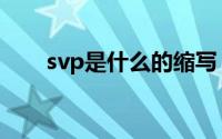 svp是什么的缩写（svp的真正含义）