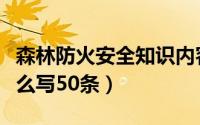 森林防火安全知识内容简短（森林防火内容怎么写50条）