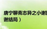 唐宁聊斋志异之小谢图片（新聊斋志异唐宁小谢结局）