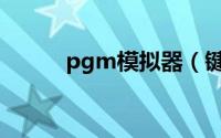 pgm模拟器（键盘pgm是什么）