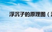 浮沉子的原理图（浮沉子是什么意思）