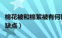 棉花被和棉絮被有何区别（棉子被与棉花被优缺点）