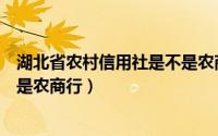 湖北省农村信用社是不是农商银行（湖北省农村信用社是不是农商行）