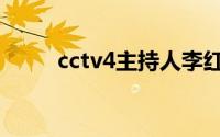 cctv4主持人李红（cctv4主持人）