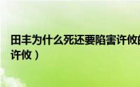 田丰为什么死还要陷害许攸的儿子（田丰为什么死还要陷害许攸）