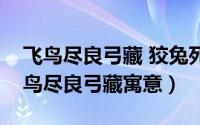 飞鸟尽良弓藏 狡兔死走狗烹是写给谁的（飞鸟尽良弓藏寓意）