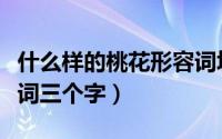 什么样的桃花形容词填空（什么样的桃花形容词三个字）