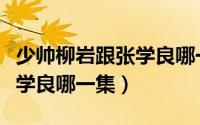 少帅柳岩跟张学良哪一集结婚（少帅柳岩跟张学良哪一集）