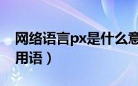 网络语言px是什么意思（px是什么意思网络用语）