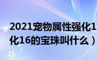 2021宠物属性强化16叫什么（宠物火属性强化16的宝珠叫什么）