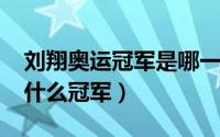 刘翔奥运冠军是哪一年（刘翔在2008年得了什么冠军）