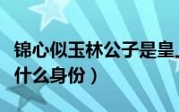 锦心似玉林公子是皇上吗（锦心似玉林公子是什么身份）