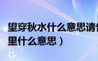 望穿秋水什么意思请告诉我（望穿秋水在爱情里什么意思）