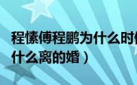 程愫傅程鹏为什么时候结的婚（程愫傅程鹏为什么离的婚）