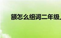 额怎么组词二年级上册（额怎么组词）